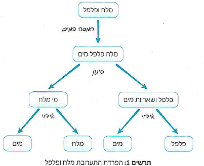 (בספר ארבעה איורים, היעזר במנחה)